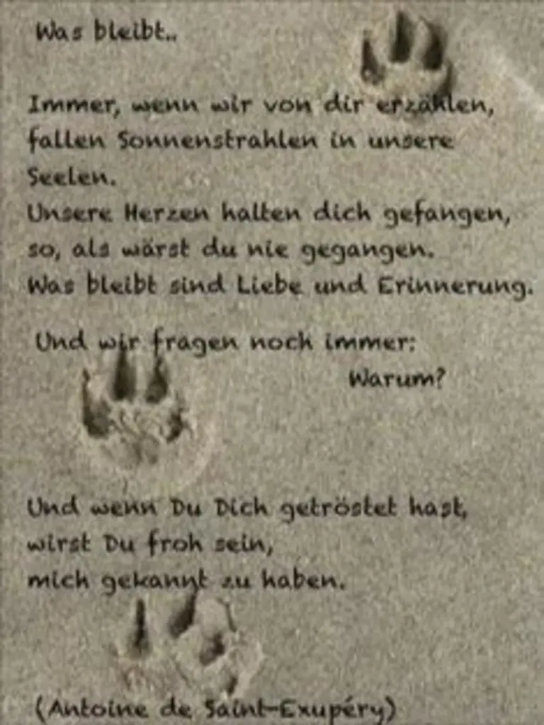 Condolence image of Andrea mit Minki im ❤ gest.19.10.2020