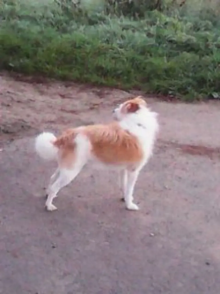 Andachtsbild von Familie Goldman