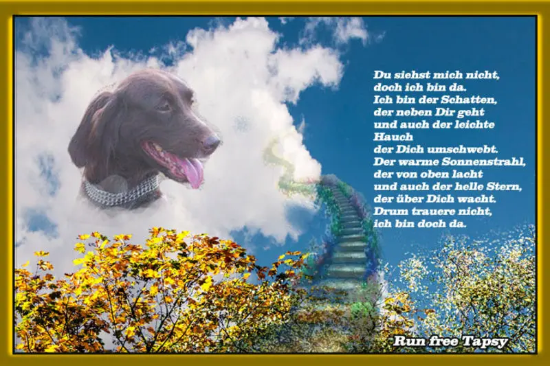 Andachtsbild von Katrin und Katzi im ❤️