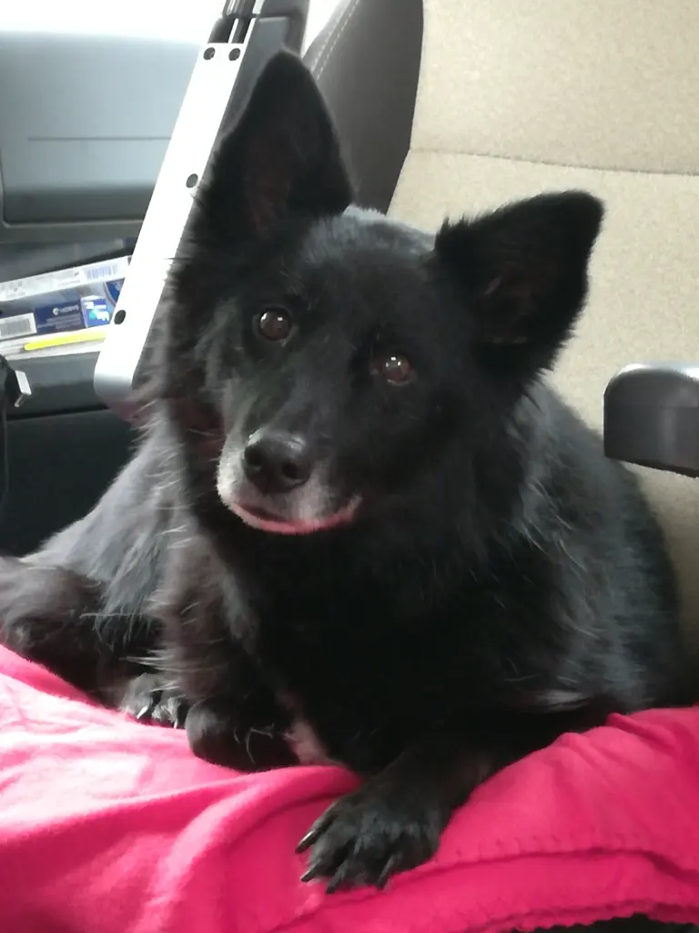 Image from Madra