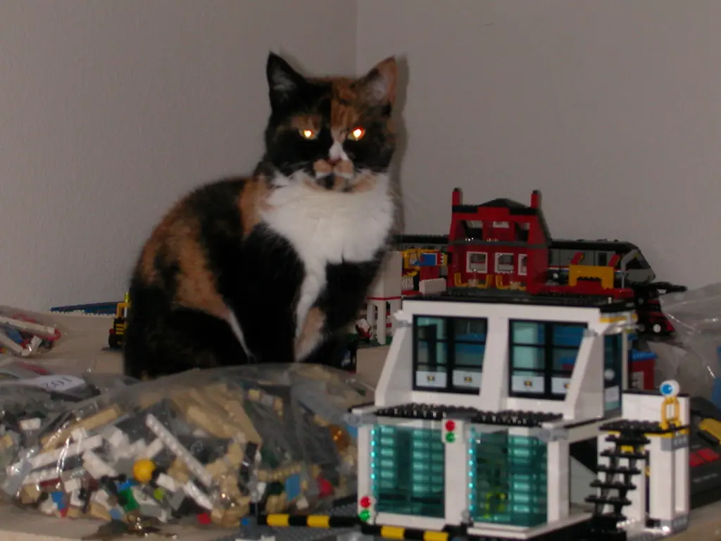 Image from Fips (Fippy)