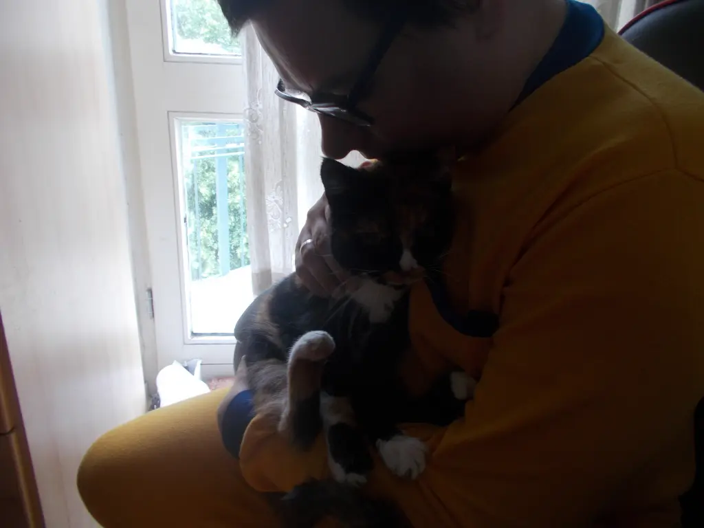 Image from Fips (Fippy)