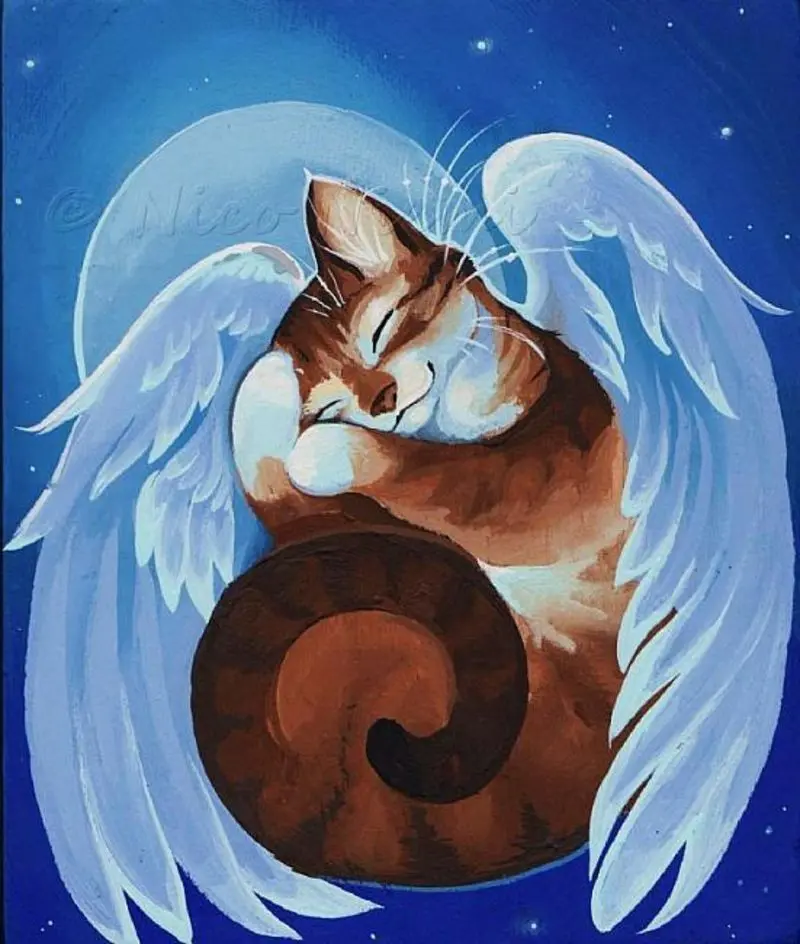 Condolence image of Unbekannt
