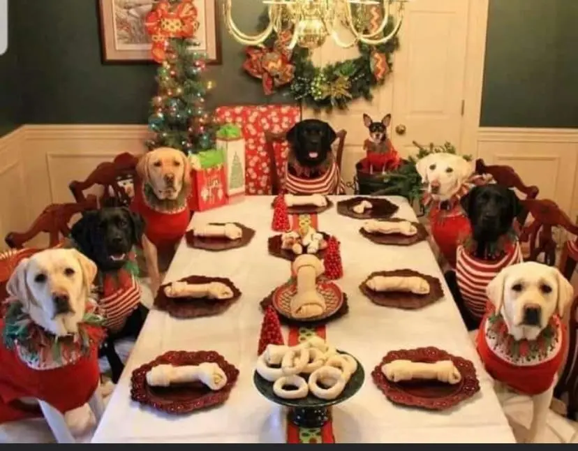 Condolence image of Von Snowy ❤️