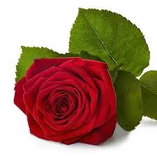 Condolence image of ❤️ Erinnerungen ❤️