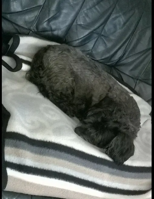 Image from Fiby