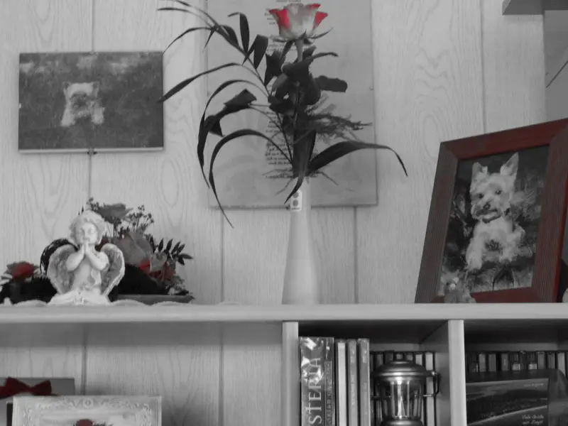 Condolence image of Steffi