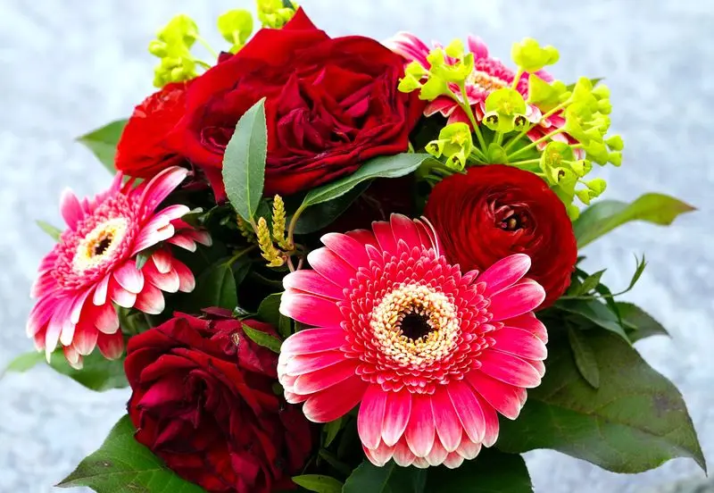 Condolence image of Unbekannt