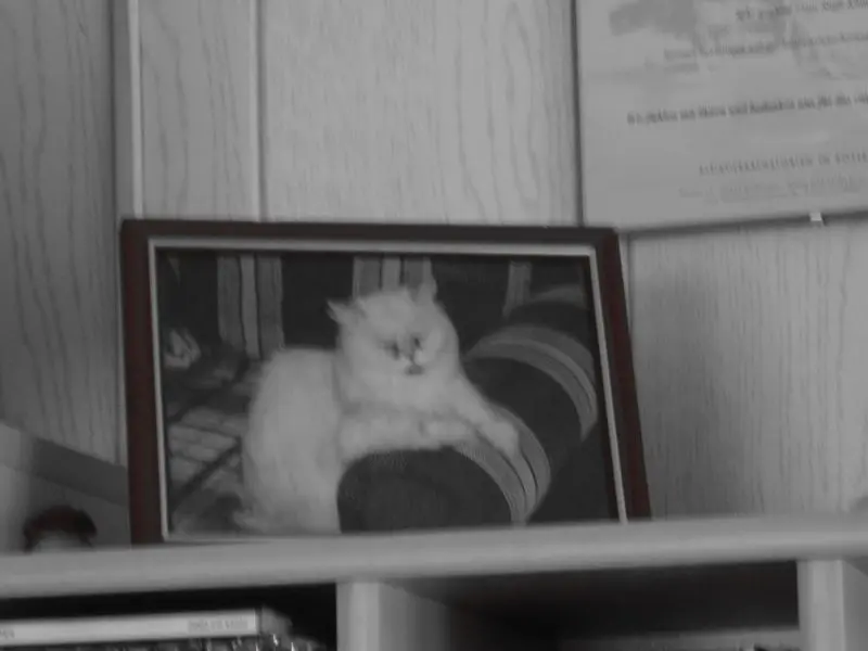 Condolence image of Unbekannt