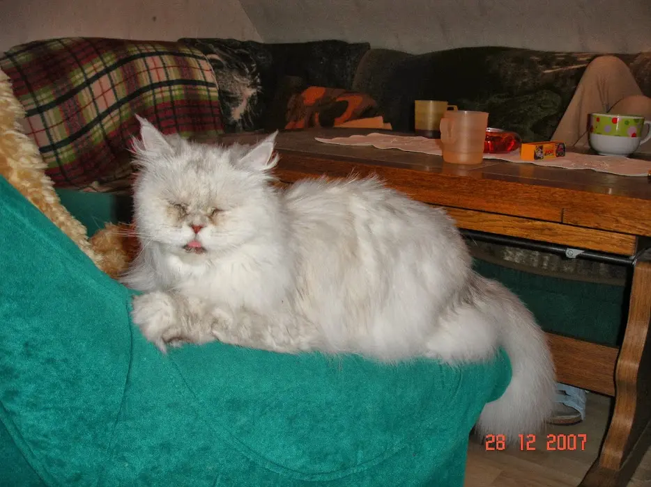 Condolence image of Steffi