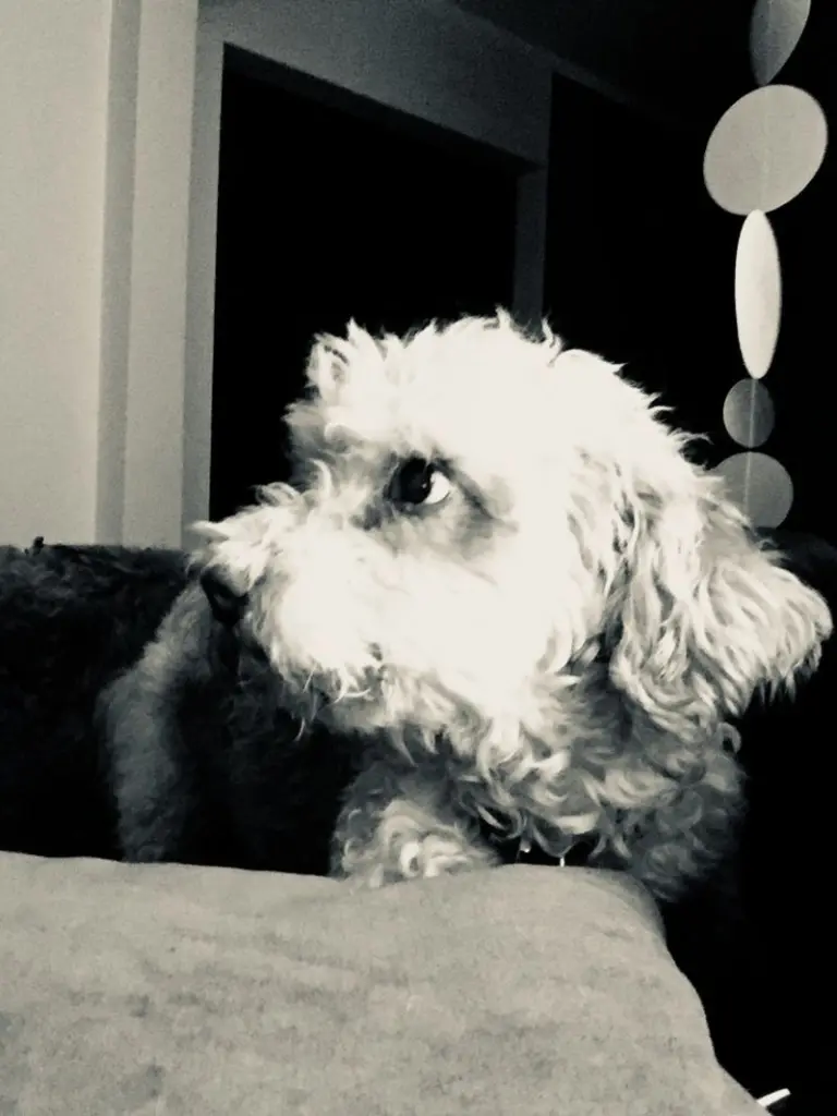Condolence image of Heike