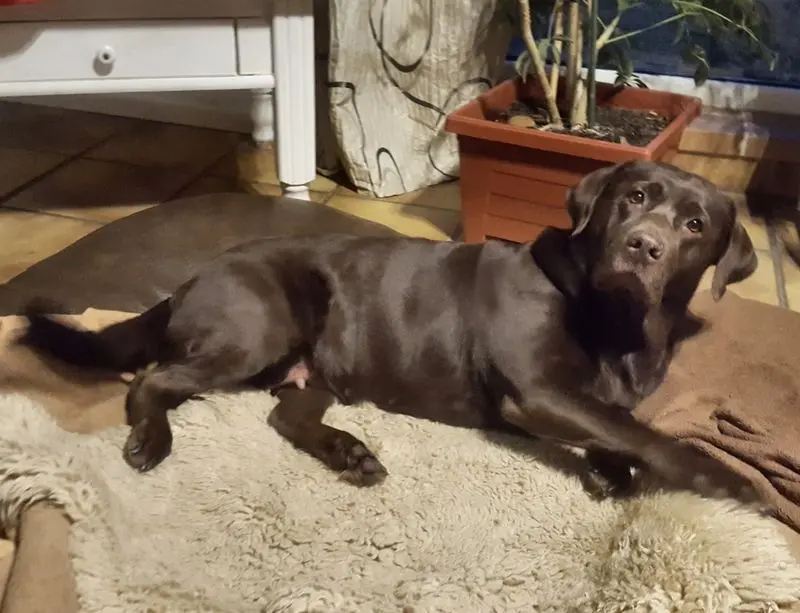 Condolence image of Bianka mit Ronja im Herz