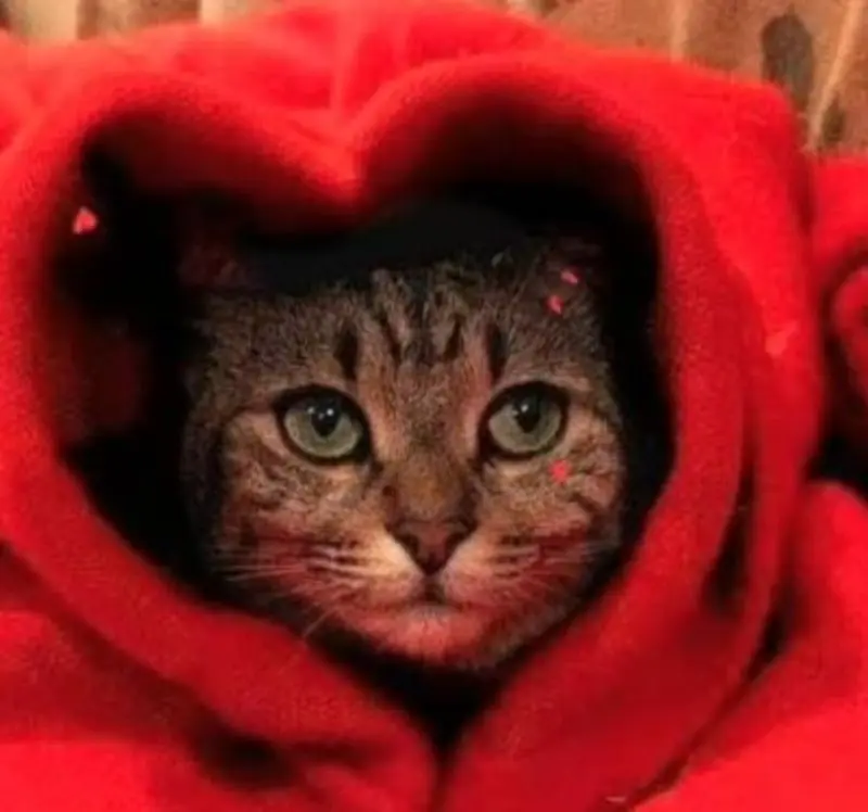 Andachtsbild von Netti