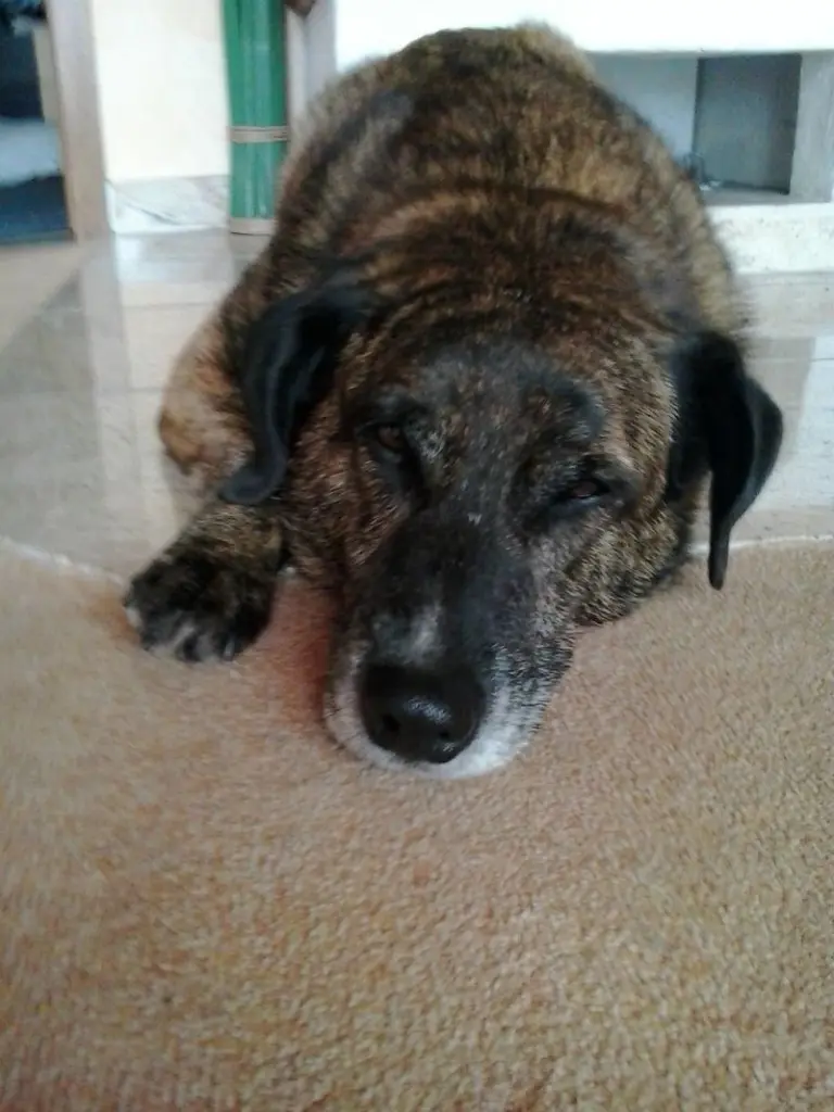 Andachtsbild von Gabi mit Max (gest. 20.11.2020)