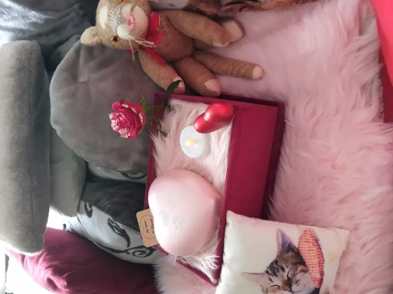 Andachtsbild von Netti