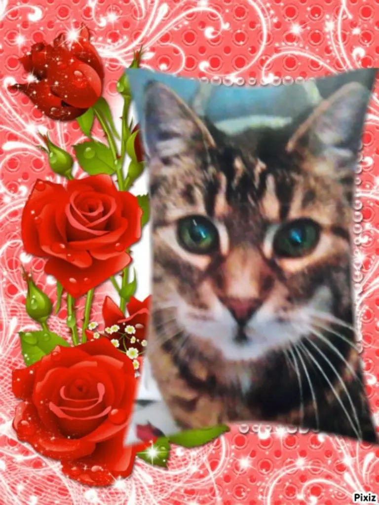 Andachtsbild von Deine Netti