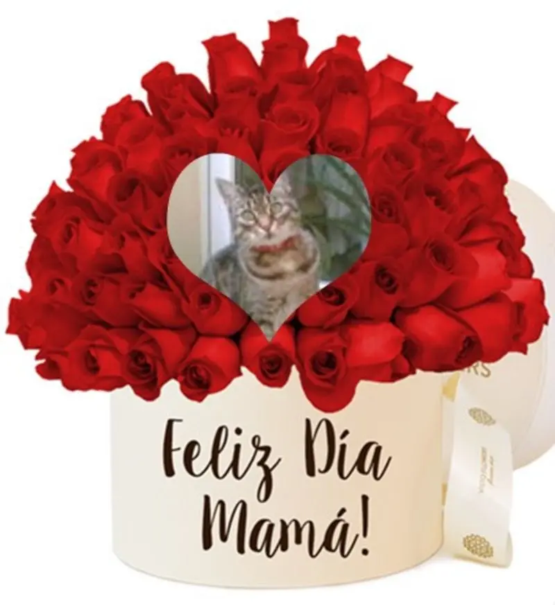 Andachtsbild von ❤️Mama❤️