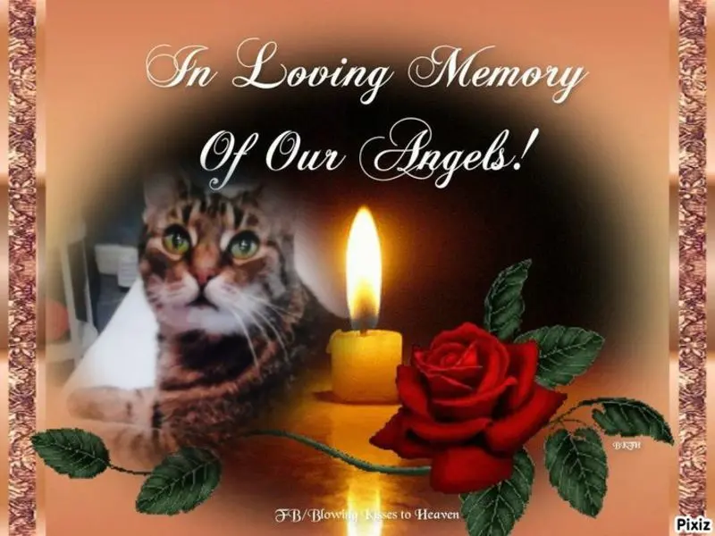 Andachtsbild von Deine Netti♥️