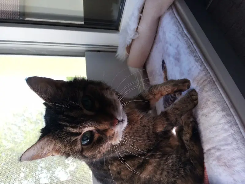 Andachtsbild von Für Puppi ❤️