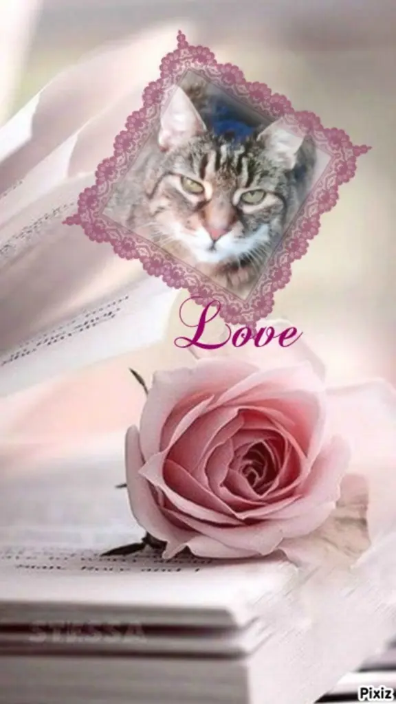 Andachtsbild von Deine Netti♥️