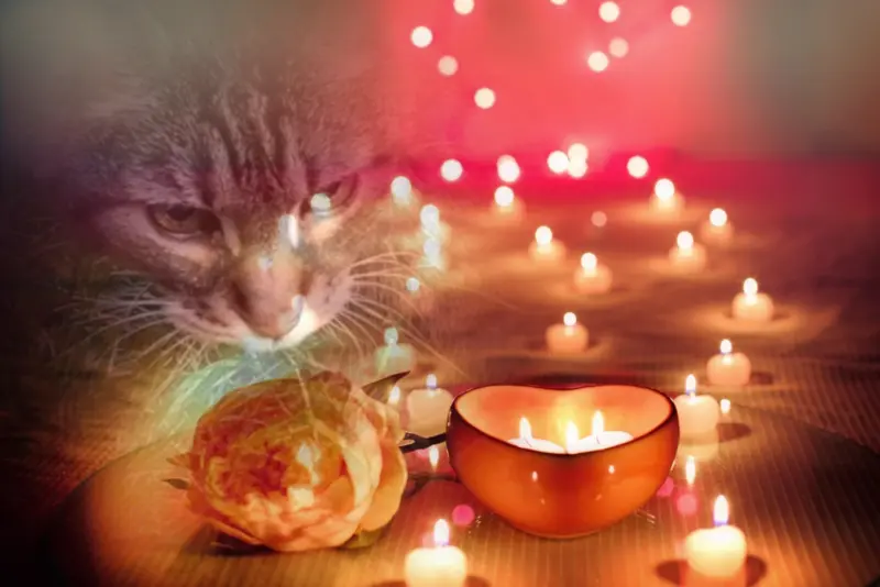 Andachtsbild von Sternchenpost ⭐