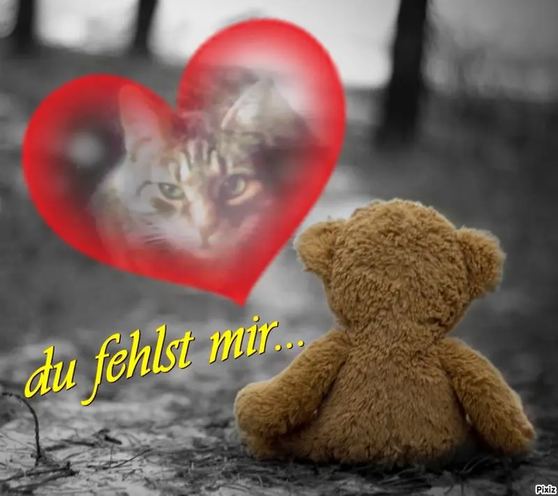 Andachtsbild von Für meine Sisile ❤️❤️