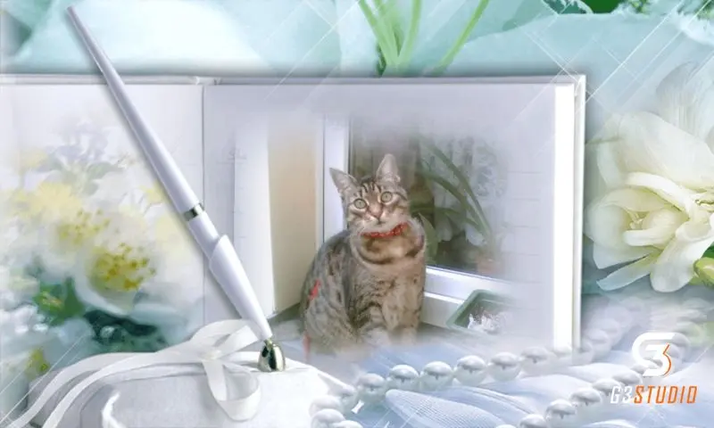 Andachtsbild von Sternchenpost ⭐