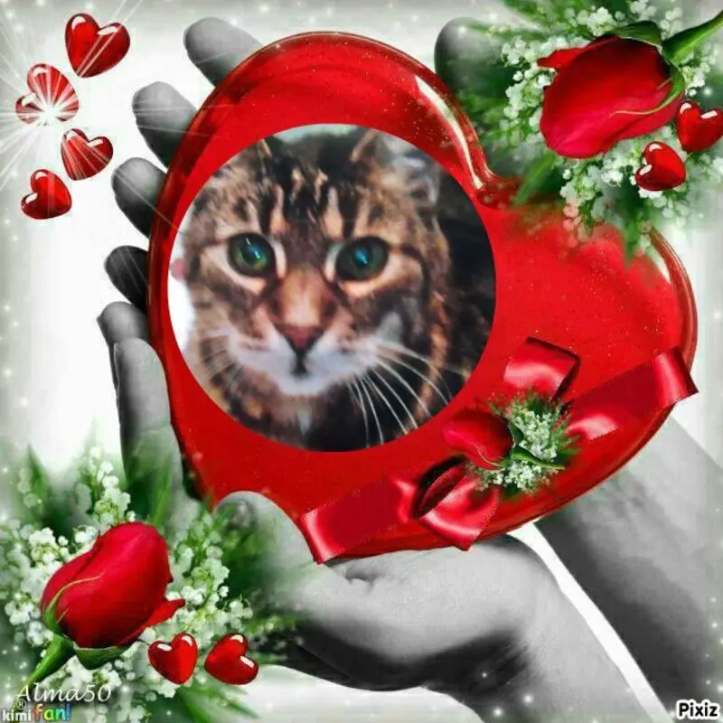 Andachtsbild von Für meinen Sonnenschein ❤️