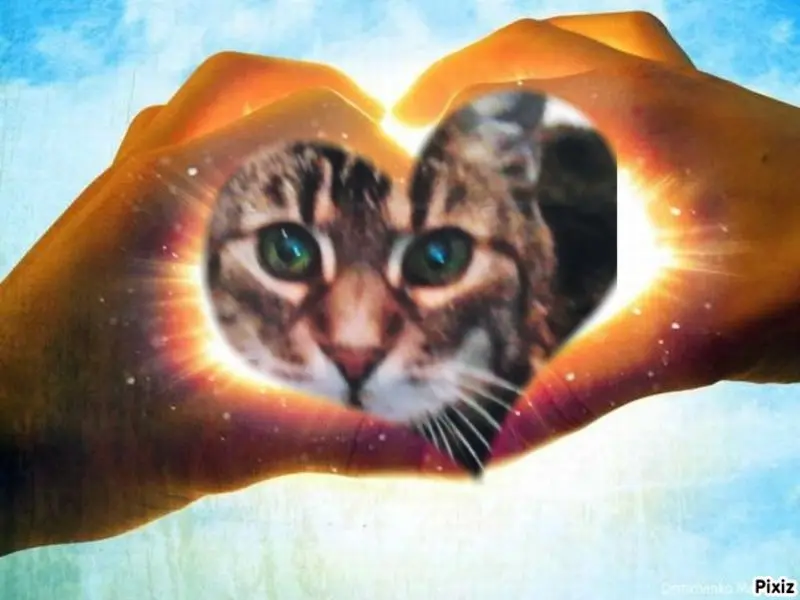 Andachtsbild von Für meine Sisile ❤️❤️