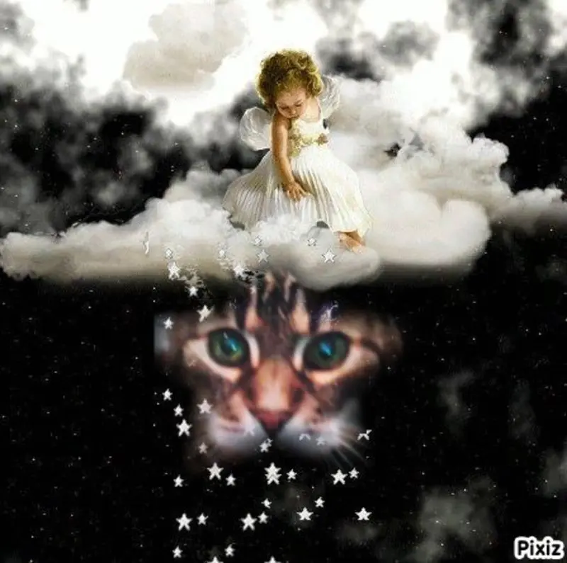 Andachtsbild von Von Netti für Puppi ❤️