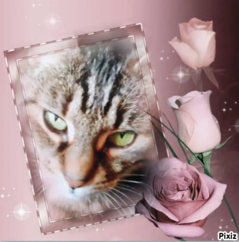 Andachtsbild von Für meine Puppi ❤️