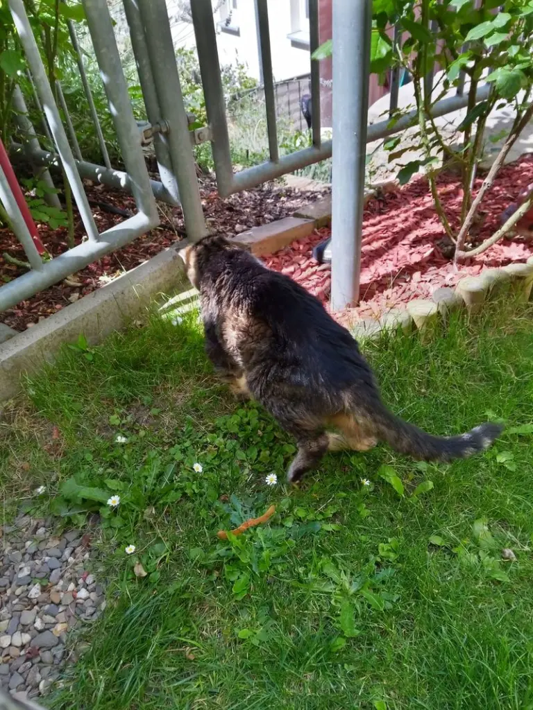 Andachtsbild von Für meinen Sonnenschein ❤️