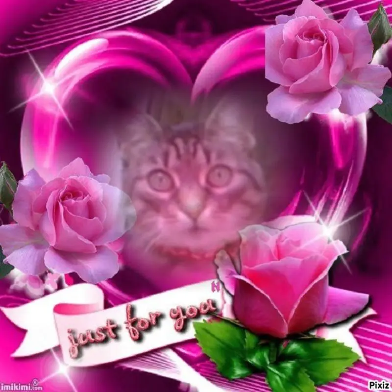 Andachtsbild von Sternchenpost ⭐