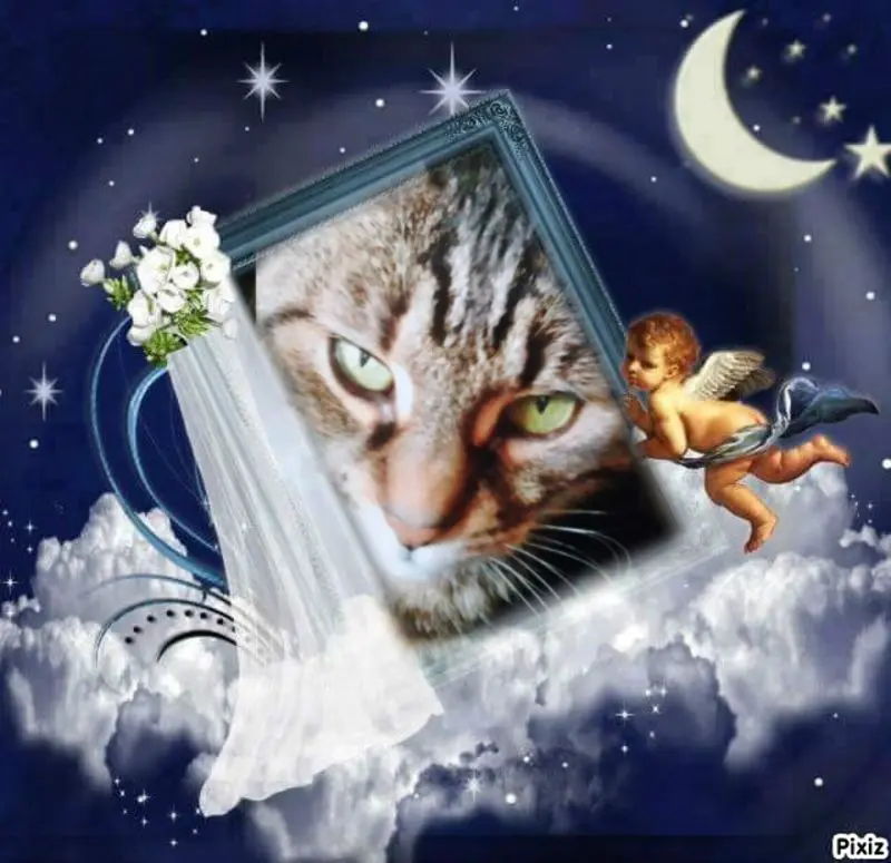 Andachtsbild von Für meinen kleinen Sonnenschein ❤️