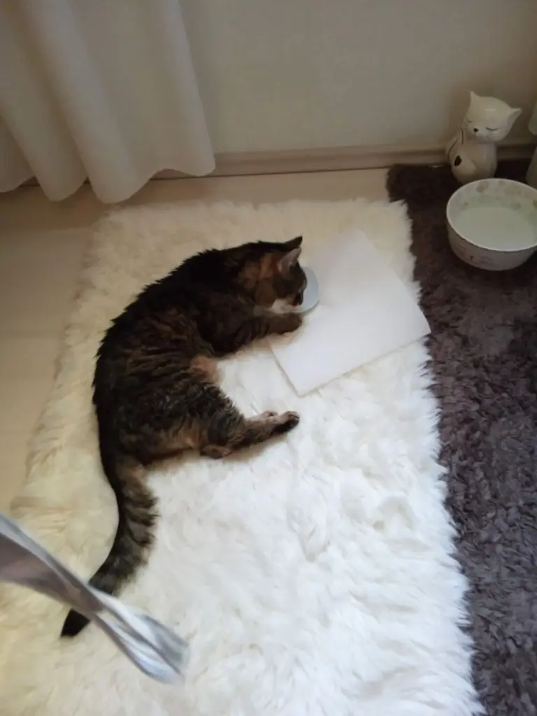 Andachtsbild von ... heute vor einem Jahr ♥️