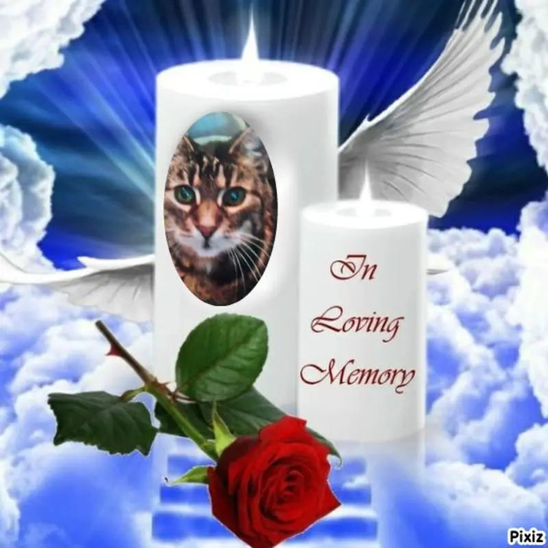 Andachtsbild von Für meine Sisile ❤️❤️