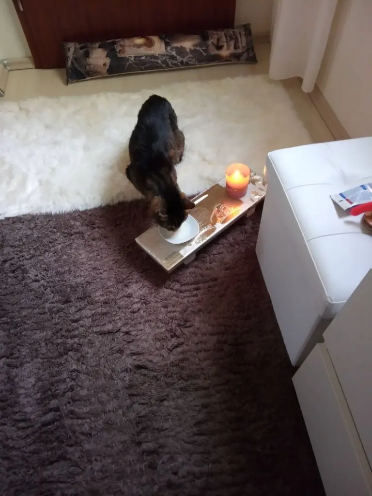 Andachtsbild von Dein 21.Geburtstag♥️