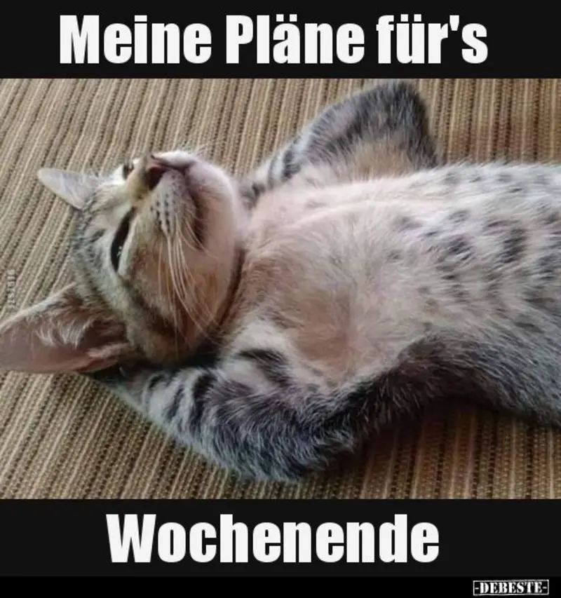 Andachtsbild von Post von Timmy und Tanja an Sisi und Mama Jeannette 