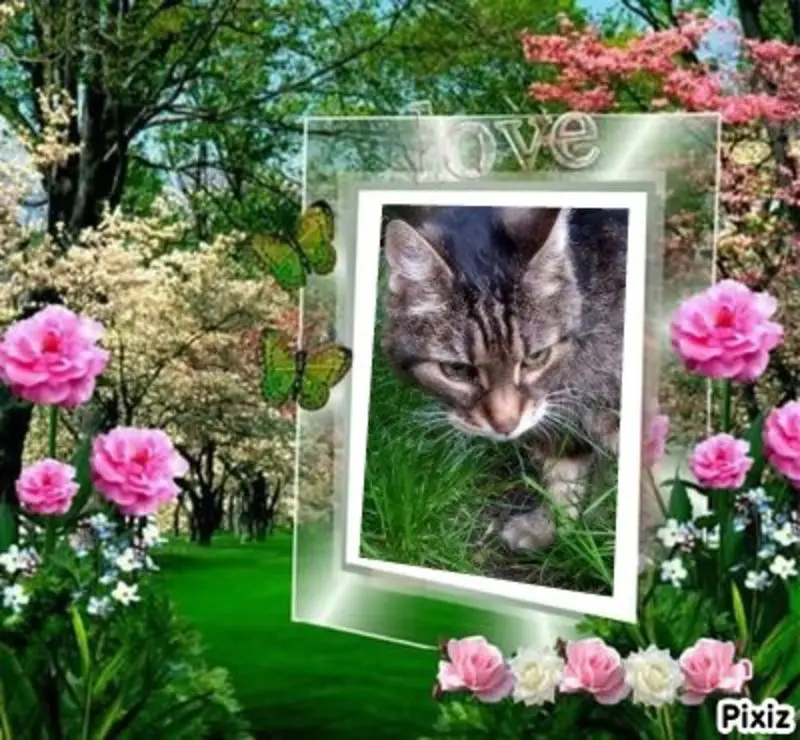 Andachtsbild von Sternchenpost ⭐