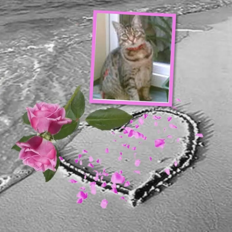 Andachtsbild von ❤️❤️❤️❤️❤️❤️❤️❤️❤️❤️❤️❤️❤️❤️