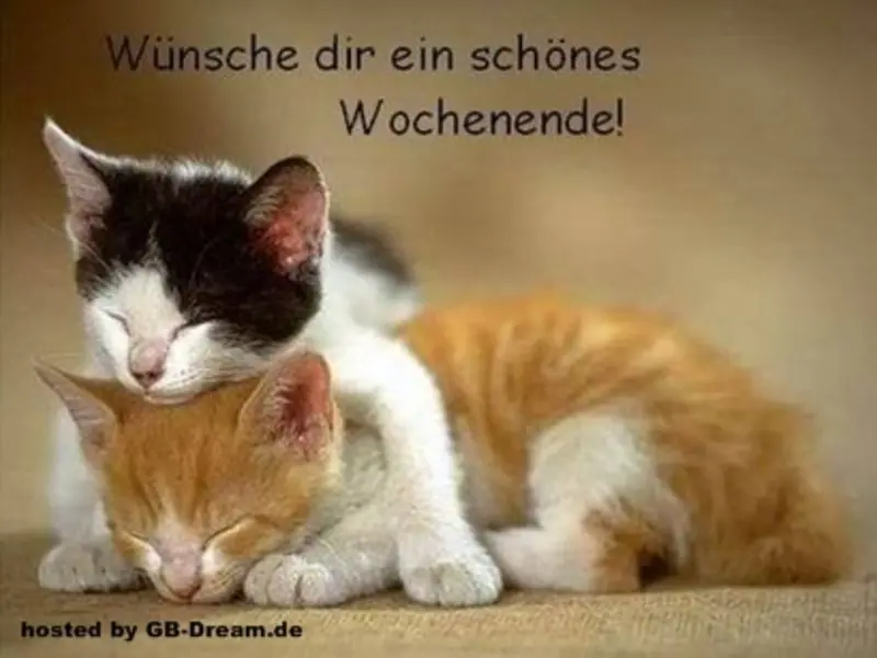 Andachtsbild von Post von Timmy und Tanja an Sisi und Mama Jeannette 