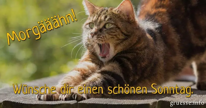 Andachtsbild von An Sisi und Frauchen Jeannette von Gatita und Silvia