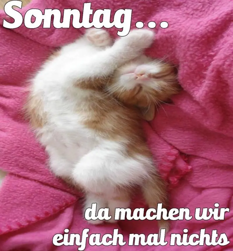 Andachtsbild von Post von Timmy und Tanja an Sisi und Mama Jeannette