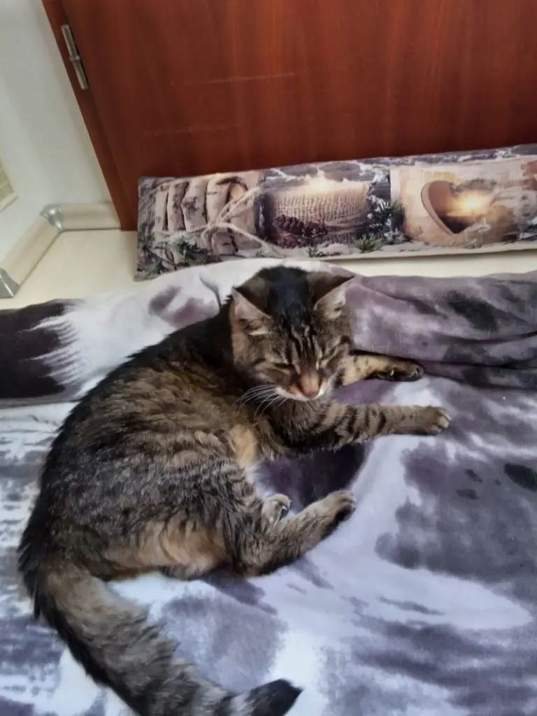 Andachtsbild von Für meinen Sonnenschein ❤️