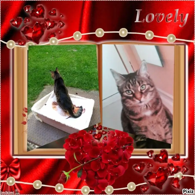 Andachtsbild von Für meinen kleinen Sonnenschein ❤️