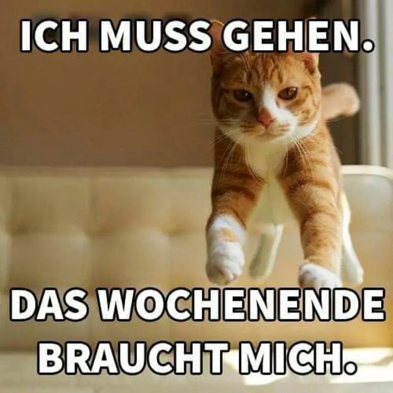 Andachtsbild von Tanja mit Timmy im Herzen