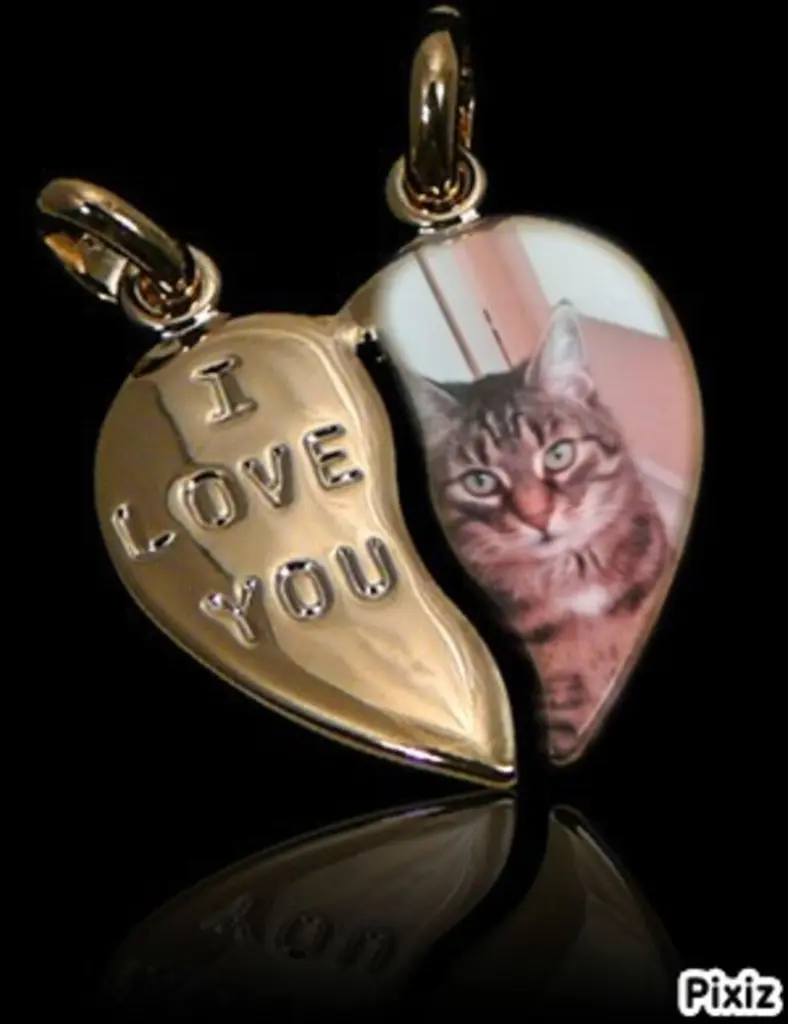 Andachtsbild von Für meinen allerliebsten kleinen Schatz ♥️