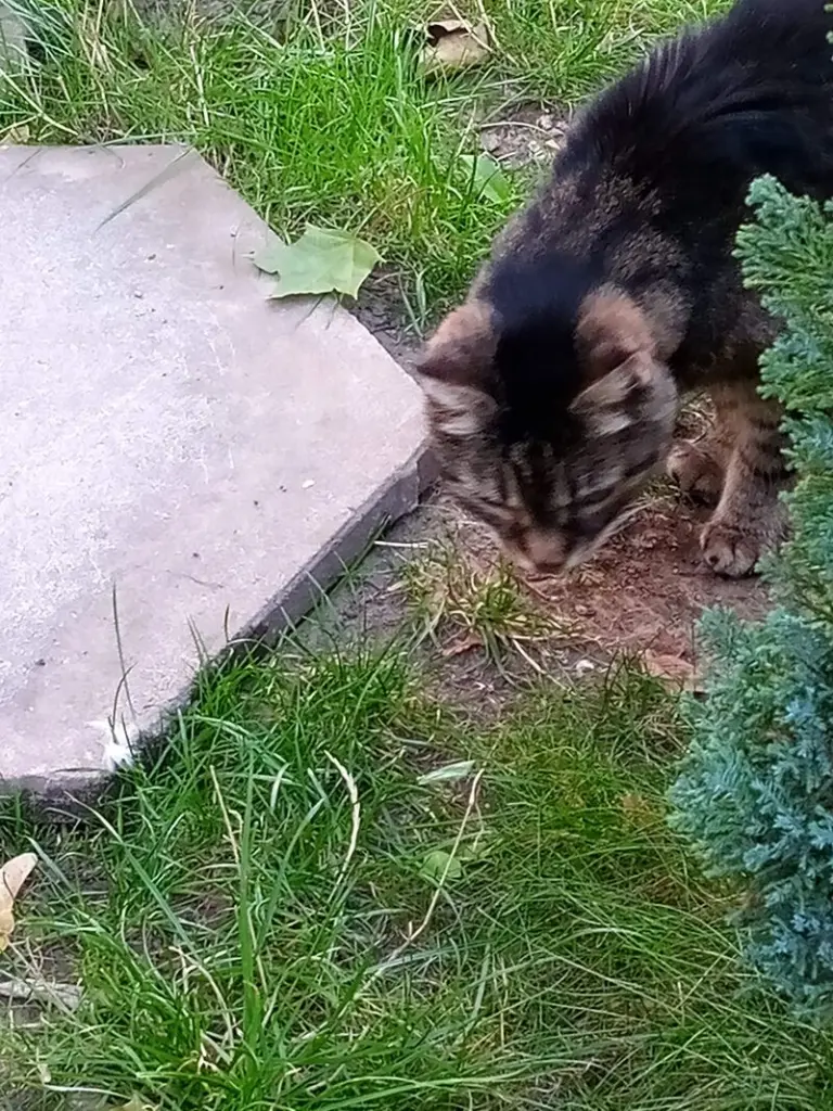 Andachtsbild von Von Netti für Puppi ❤️