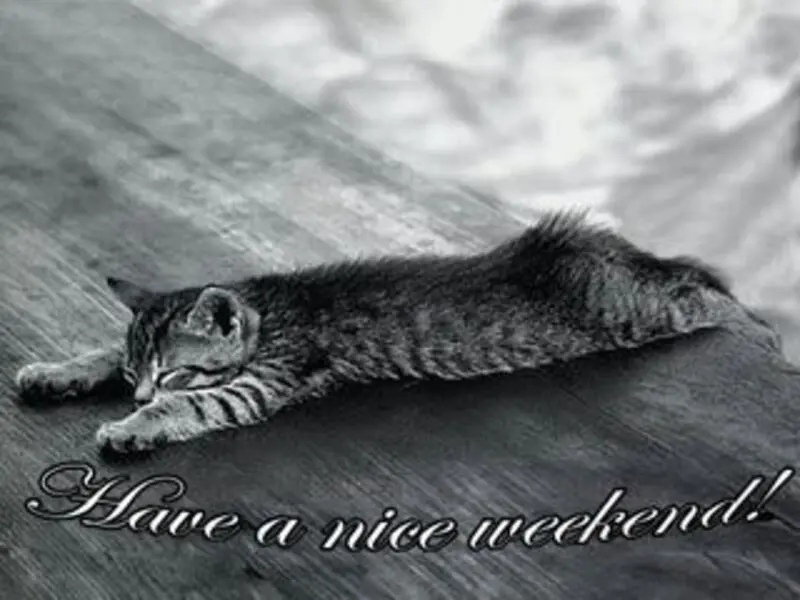 Andachtsbild von Tanja mit Timmy im Herzen