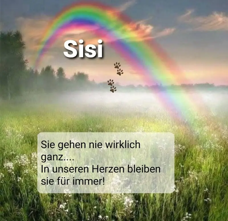 Andachtsbild von Unbekannt